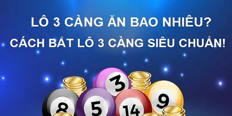 Nohu - Tỷ lệ trả thưởng cho mỗi điểm lô 3 càng hấp dẫn ra sao?